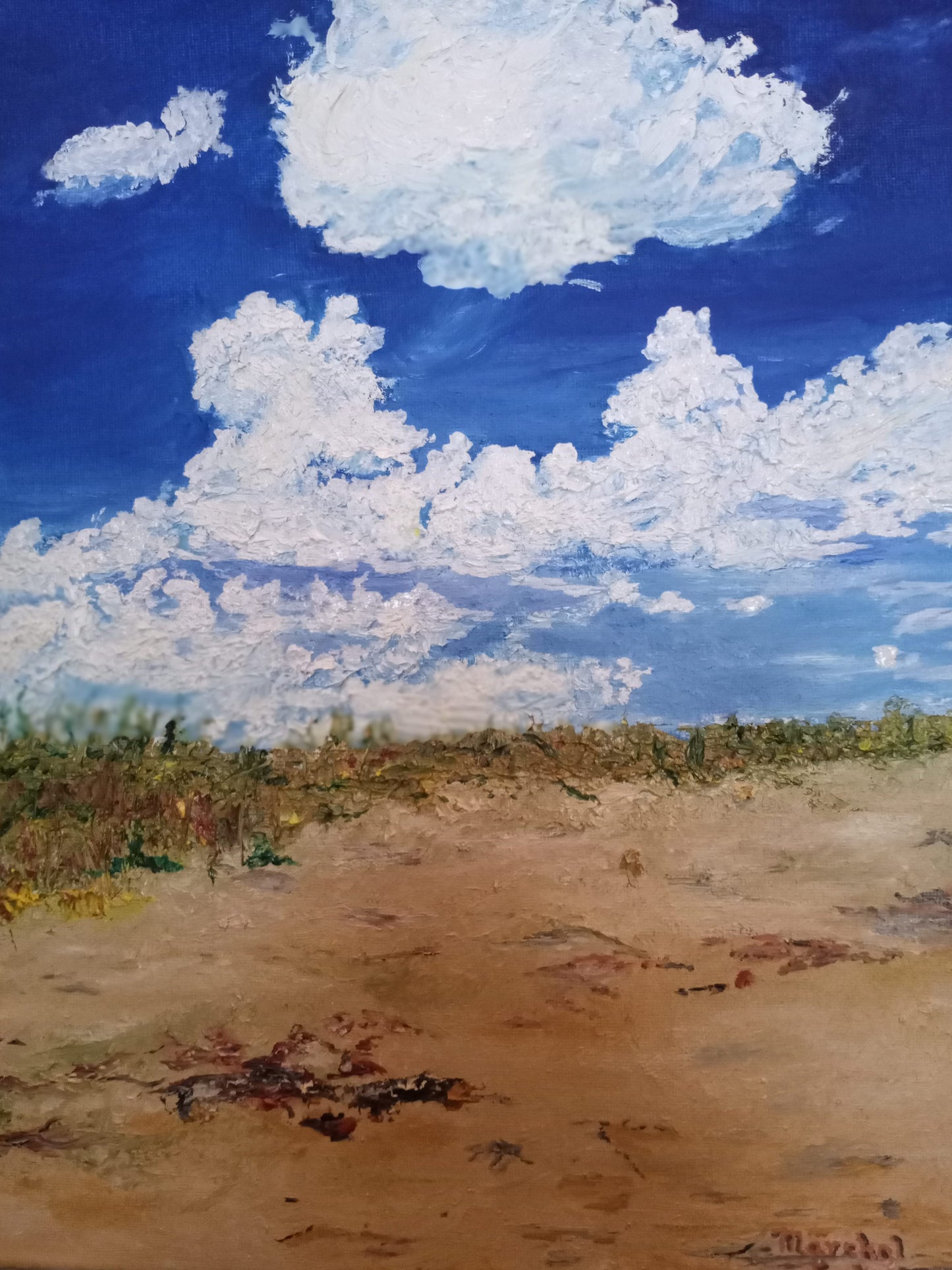 Cloudy Beach Day