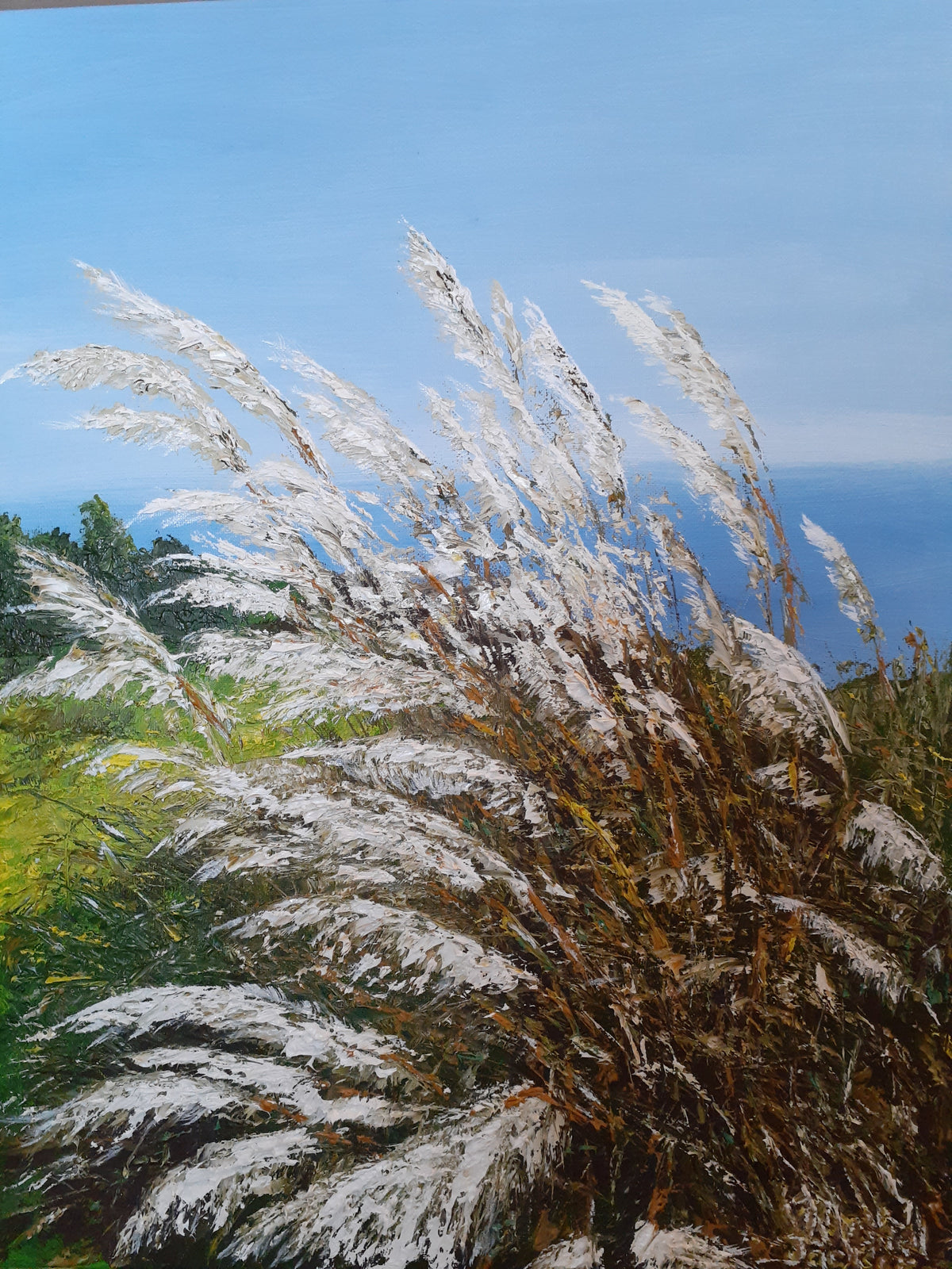 Pampas Grass