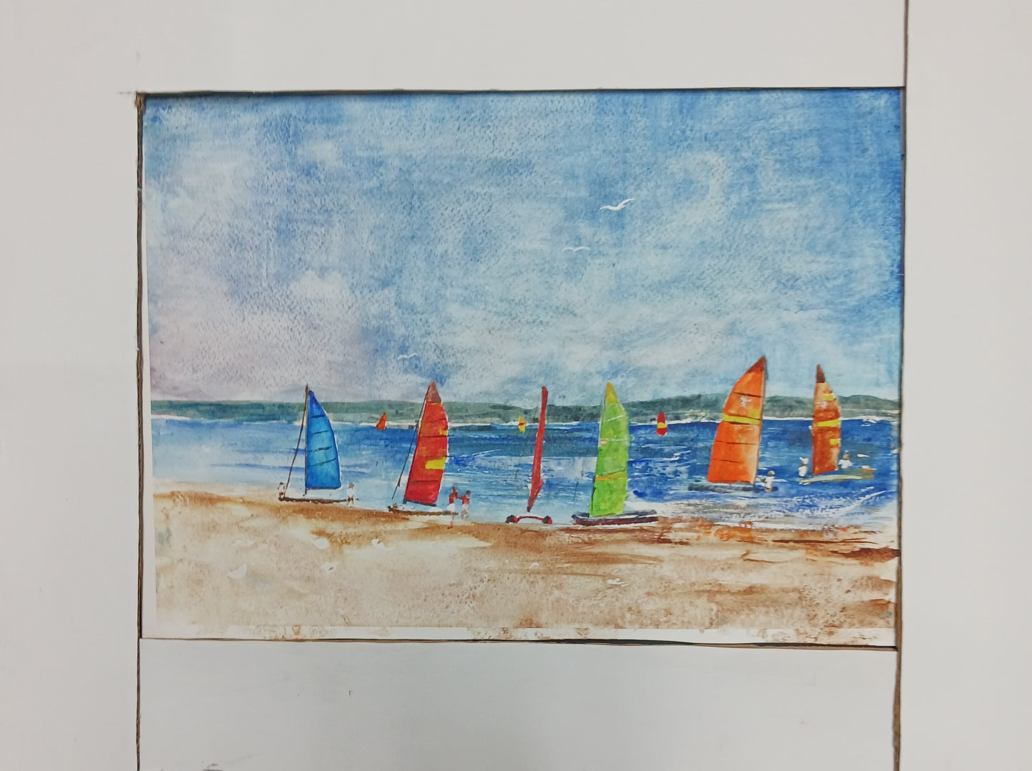 Cats on the beach
