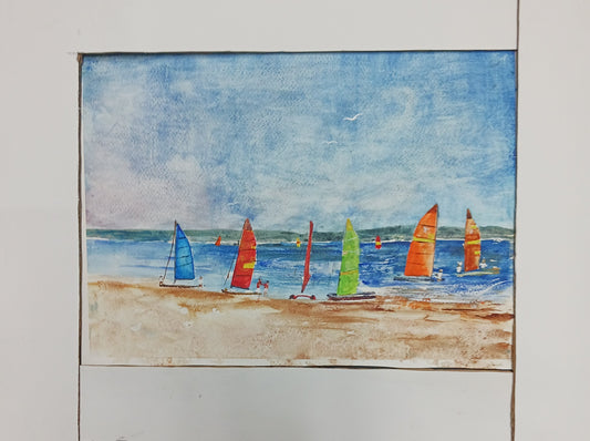 Cats on the beach