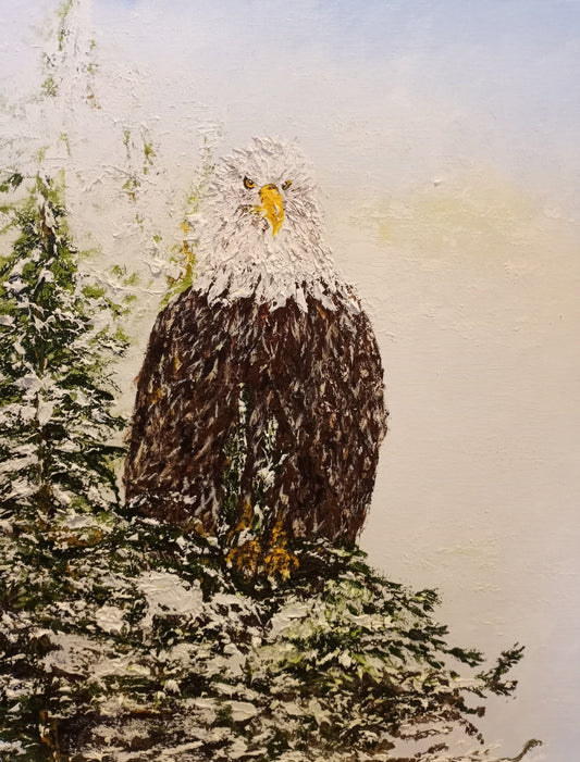 Eagle’s Domain