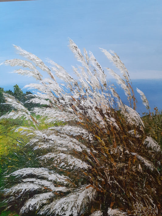 Pampas Grass