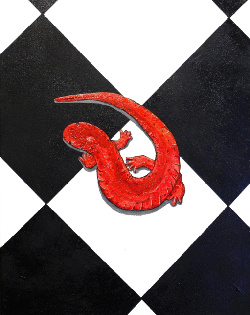 Salamander