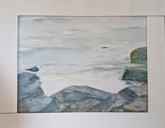 Seagull on the rocks